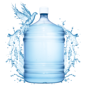 bottle
